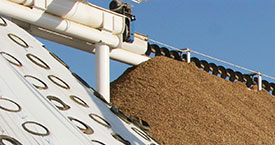Hull Storage Line